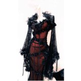 ダークスタイルの宮廷ドレス、ゴシックスタイルのバラの装飾が施されたドレス、羽根の襟とビーズのメッシュドレス　コスプレ 衣装 通販 オーダーメイド