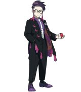 新規お見積りフォーム　PokemonLEGENDSZA カラスバ　ジャケット　スタンダードプラン