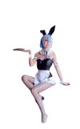 画像1: ウイッグ付きｖRe:ゼロから始める異世界生活 レムラム　バニーガール　 コスプレ 衣装 通販 オーダーメイド (1)